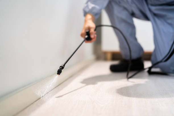 Licensed Fumigation Services service in Spanish Fork, UT - Nex Pest Control