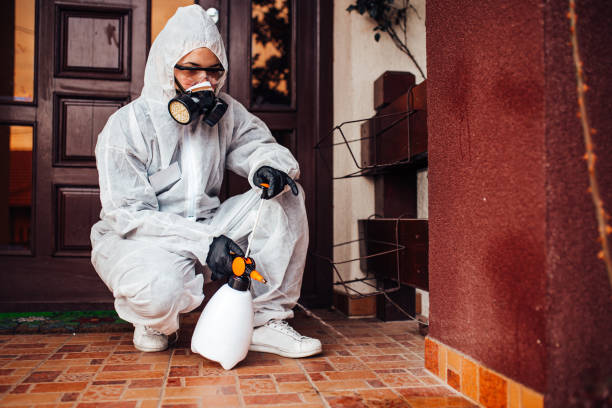 Reliable Fumigation Services contractor in Spanish Fork, UT by Nex Pest Control